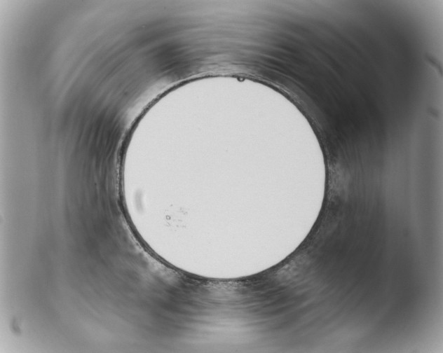 X0000103931046200810171747