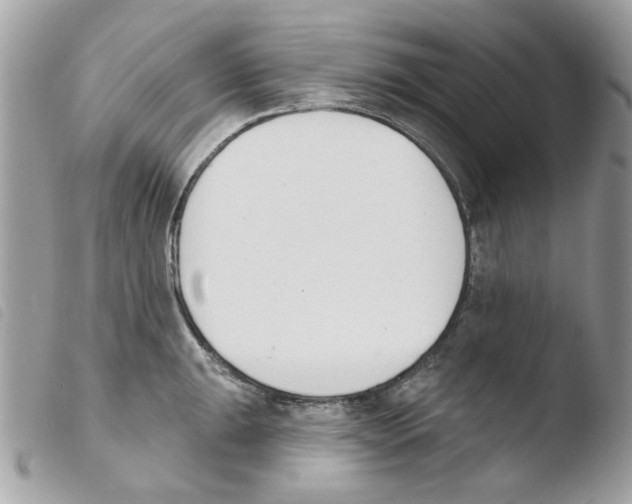 X0000103931047200810171747