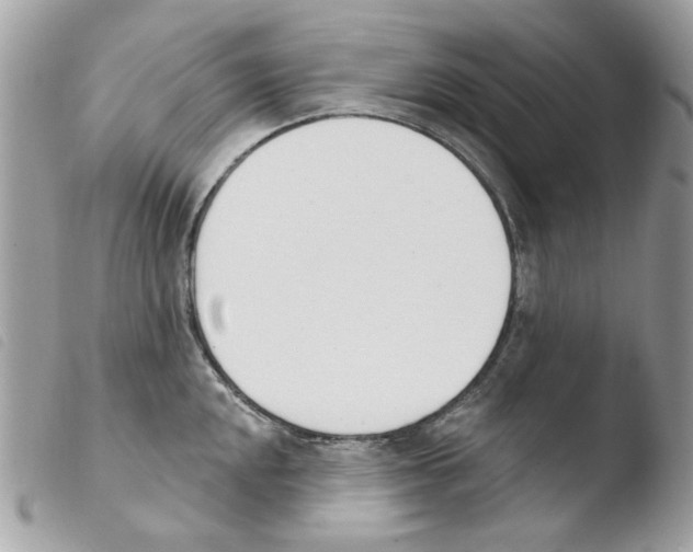 X0000103931048200810171747