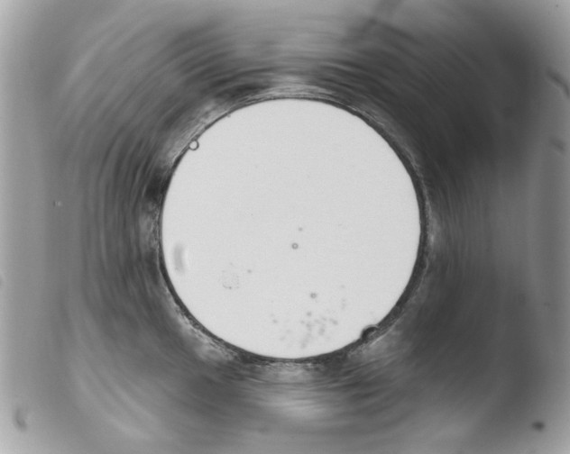 X0000103931049200810171747