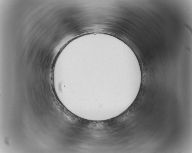 X0000103931051200810171747