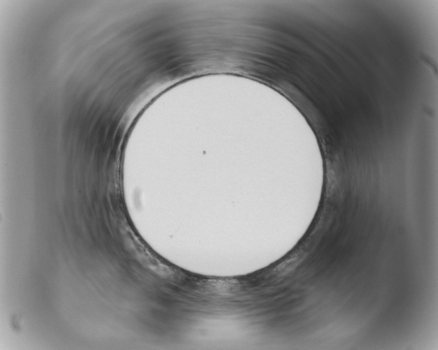 X0000103931052200810171747