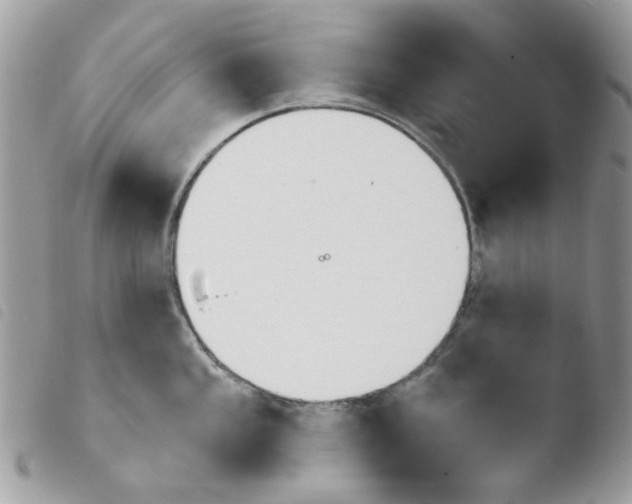 X0000103931053200810171747