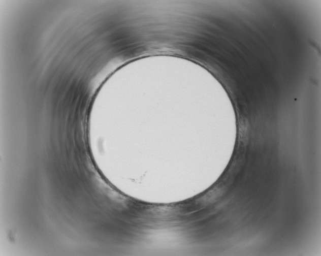 X0000103931054200810171747