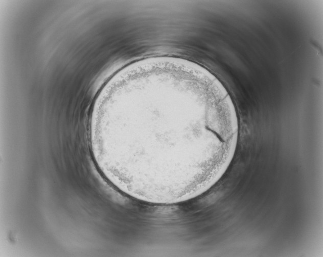 X0000103931055200810171747