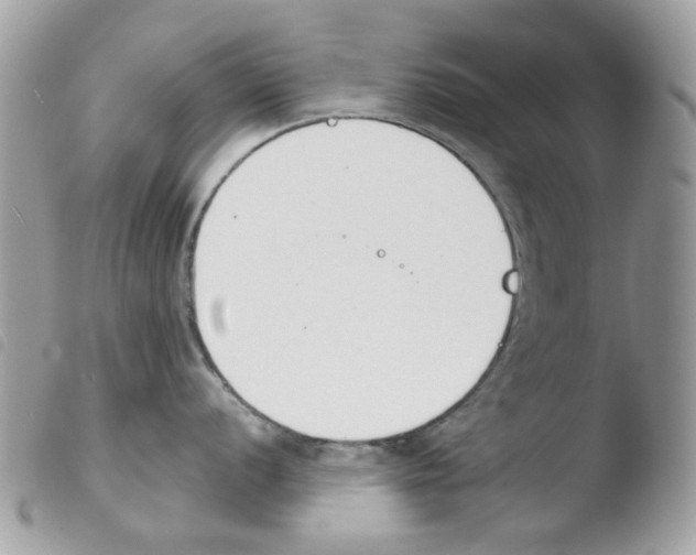 X0000103931056200810171747