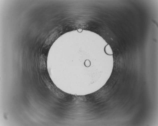 X0000103931058200810171746