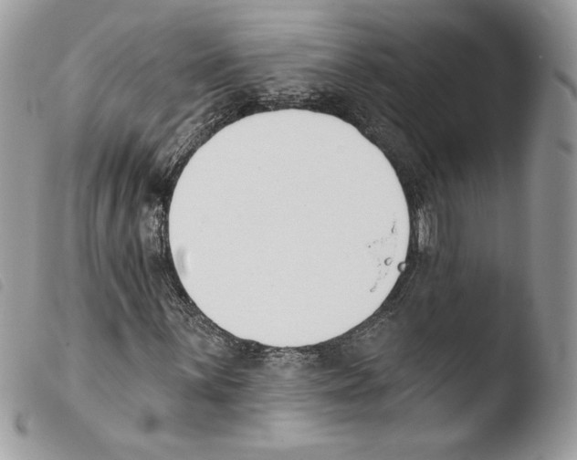 X0000103931059200810171746