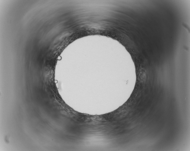 X0000103931061200810171746