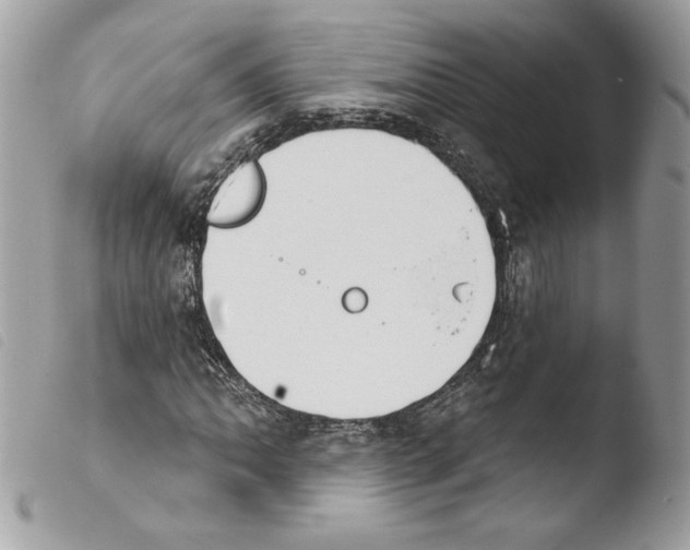 X0000103931062200810171746