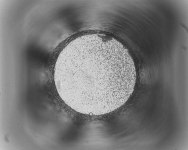 X0000103931064200810171746