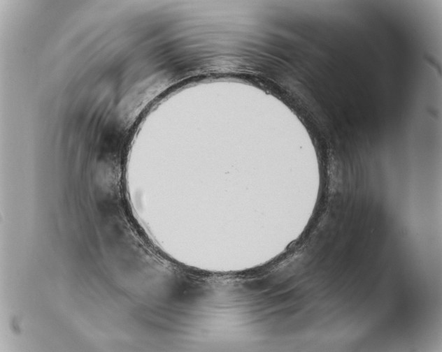 X0000103931065200810171746