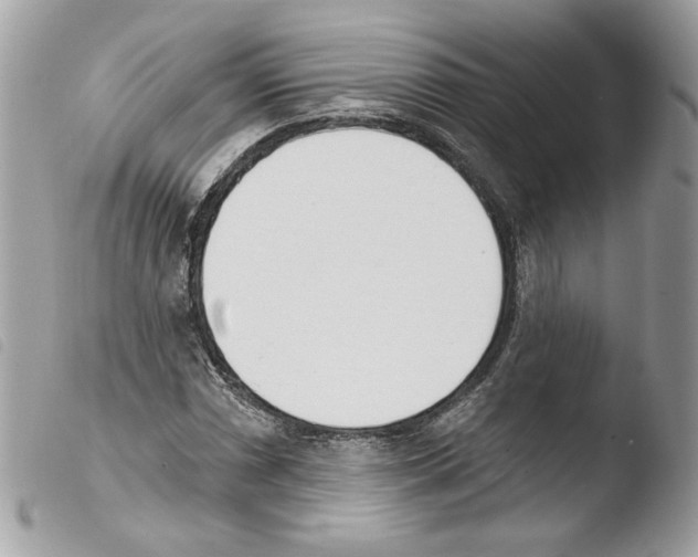 X0000103931066200810171746