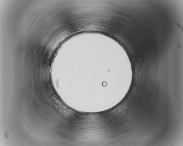 X0000103931067200810171746