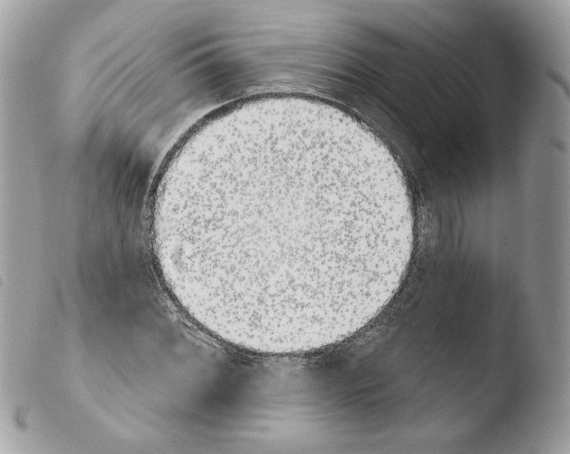 X0000103931068200810171746