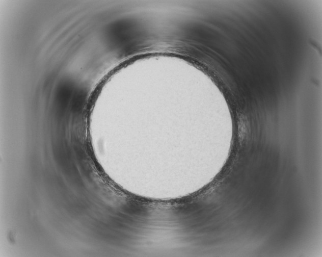 X0000103931069200810171746