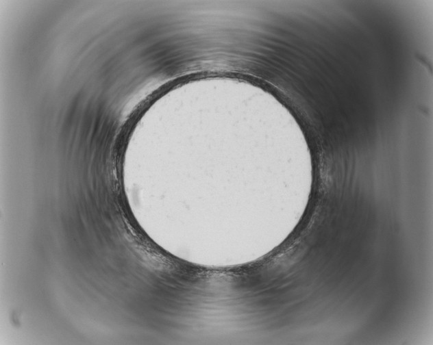 X0000103931070200810171746