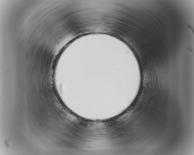 X0000103931071200810171746