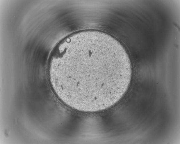 X0000103931072200810171746