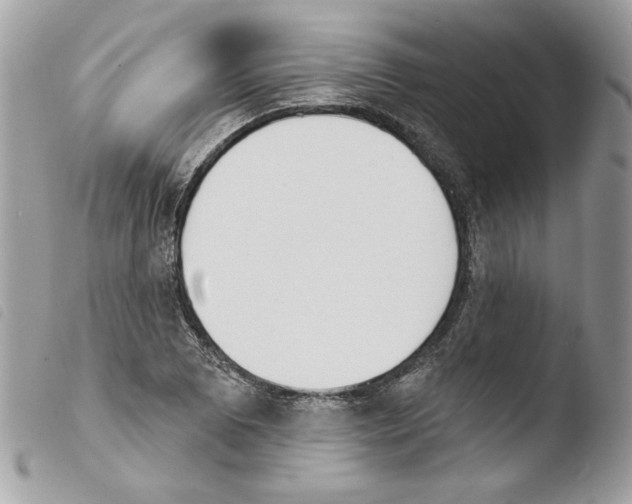 X0000103931073200810171746