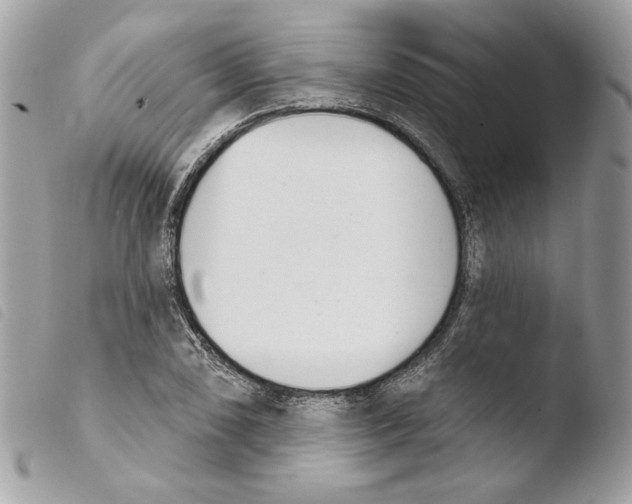 X0000103931074200810171746