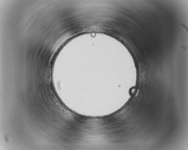 X0000103931075200810171746