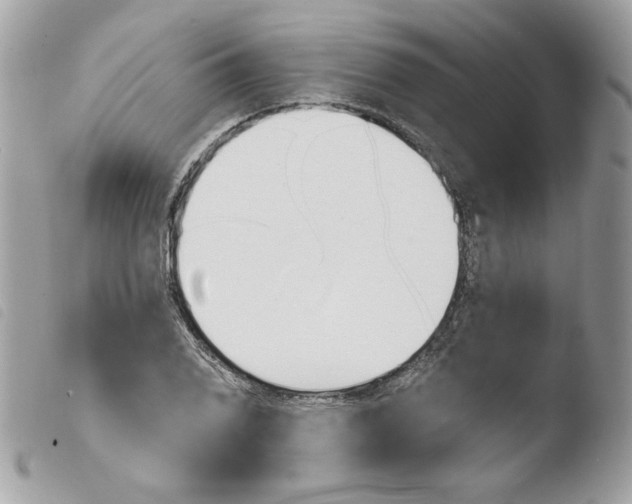 X0000103931076200810171746