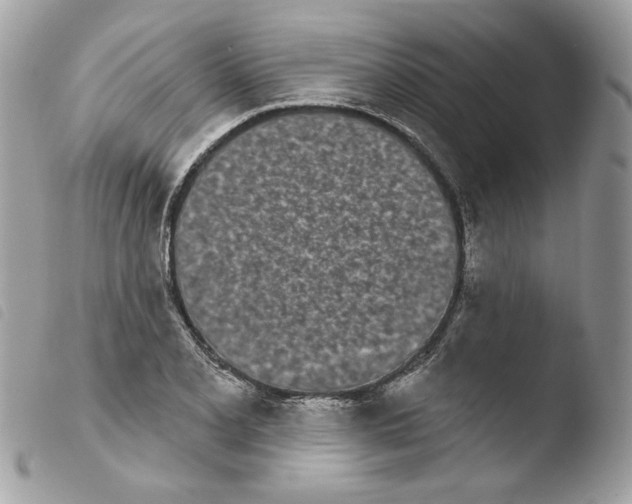 X0000103931077200810171746