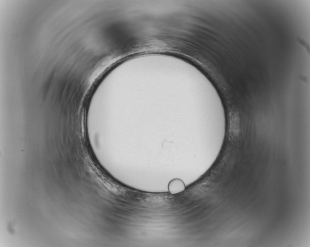 X0000103931078200810171746