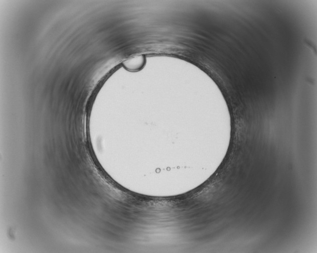 X0000103931079200810171746