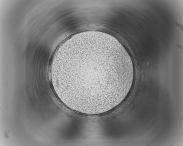 X0000103931080200810171746