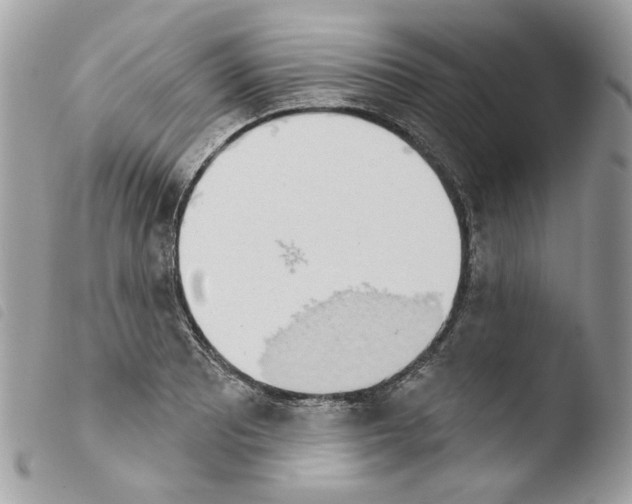 X0000103931081200810171746