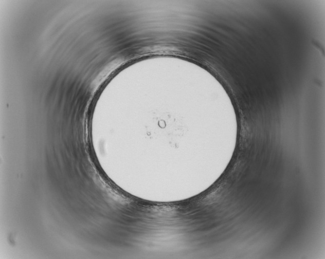 X0000103931082200810171746