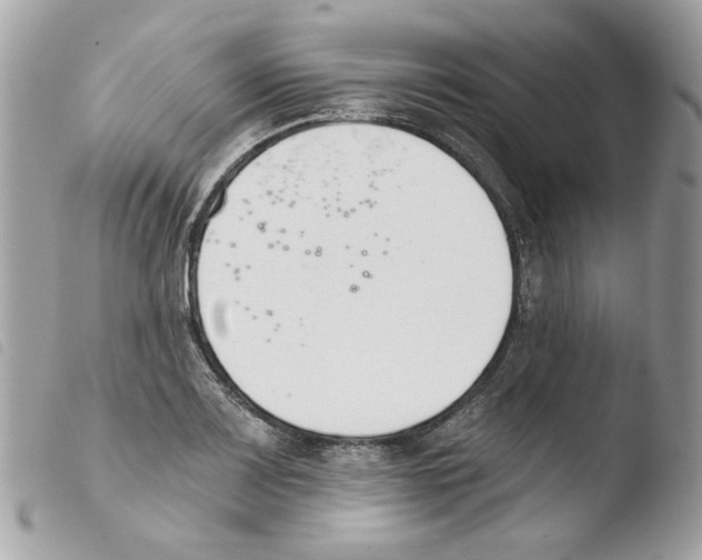 X0000103931083200810171746