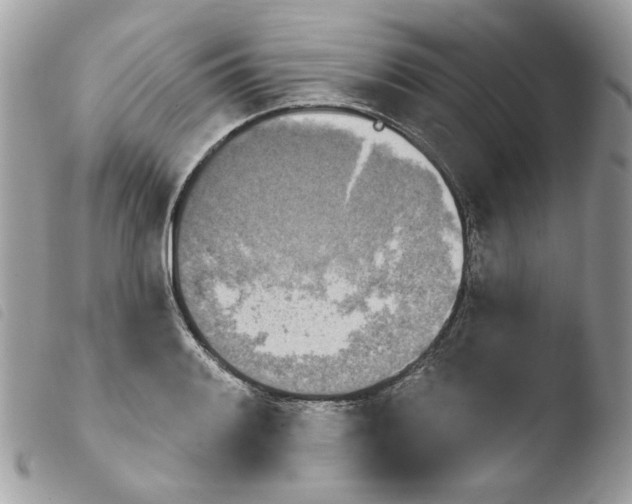 X0000103931084200810171746