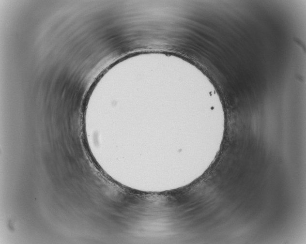 X0000103931085200810171746