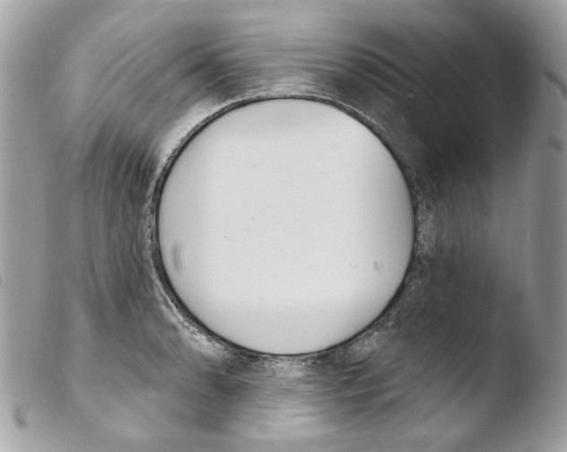 X0000103931086200810171746