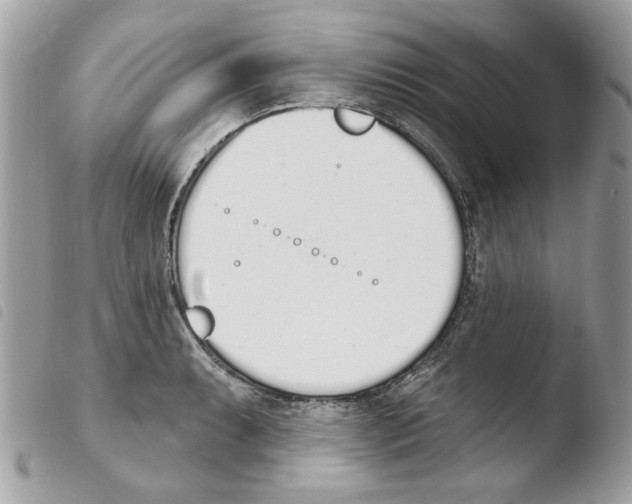 X0000103931087200810171746