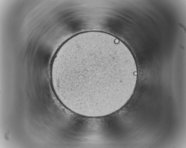 X0000103931088200810171746