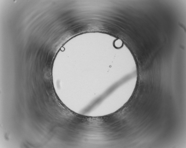 X0000103931089200810171746