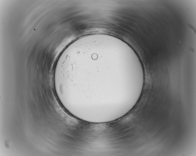 X0000103931090200810171746