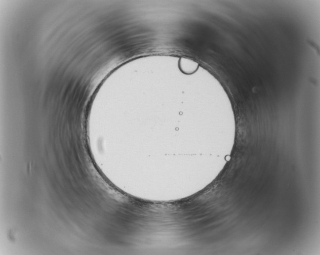 X0000103931091200810171746