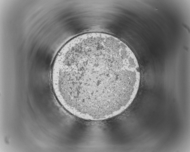 X0000103931092200810171746