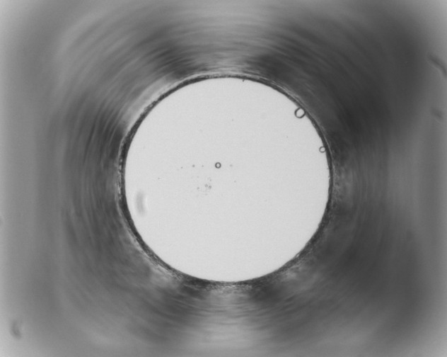 X0000103931093200810171746