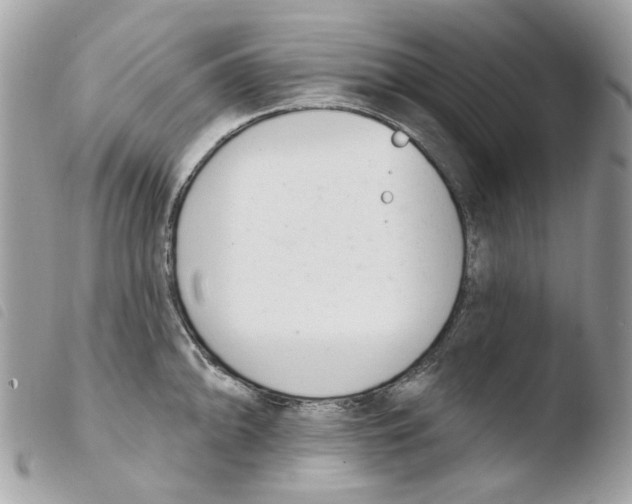 X0000103931094200810171746