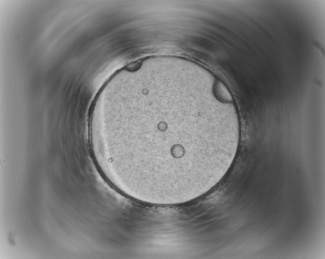 X0000103931095200810171746