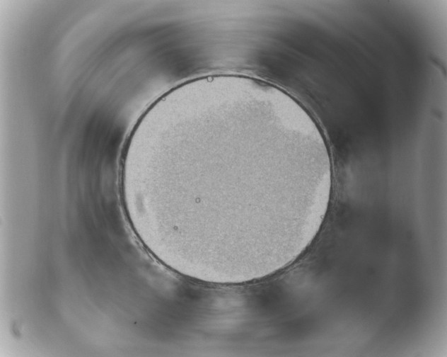 X0000103931096200810171746