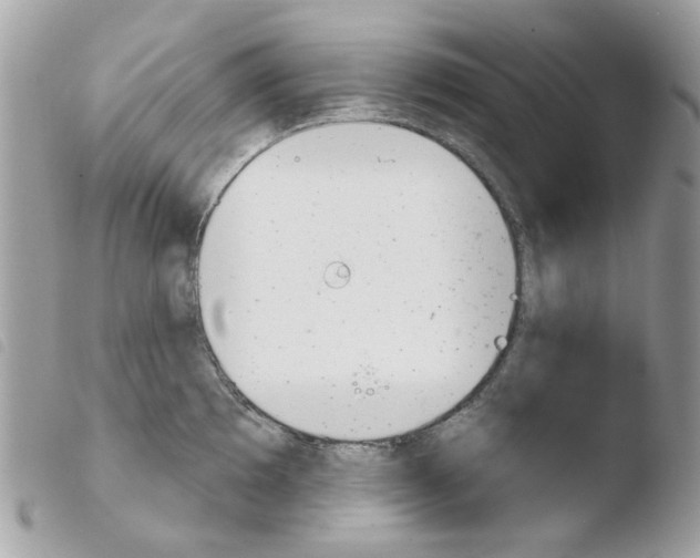 X0000103931097200810171746