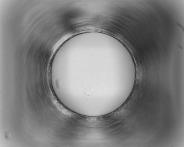 X0000103931098200810171746