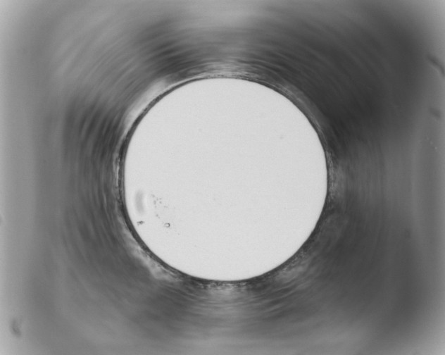 X0000103931099200810171746